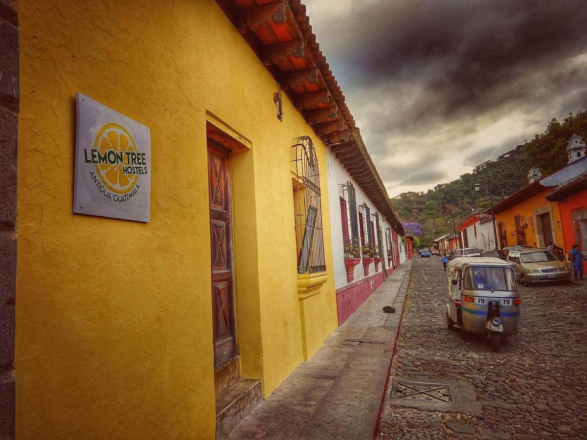 Lemon Tree Hostel Антигуа-Гватемала Экстерьер фото