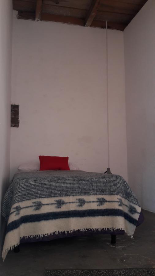 Lemon Tree Hostel Антигуа-Гватемала Экстерьер фото